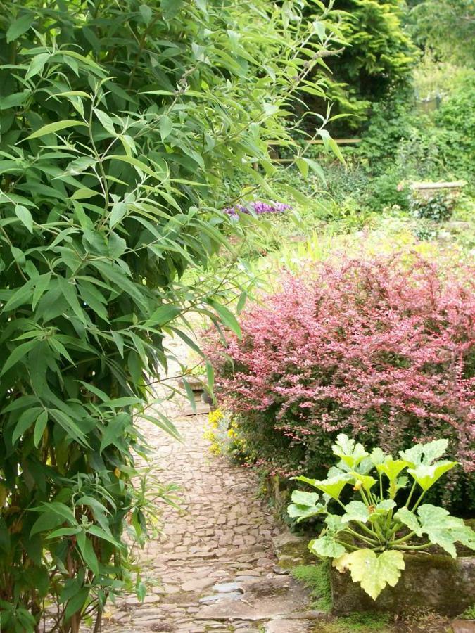 Middletown Farmhouse B&B Okehampton Extérieur photo