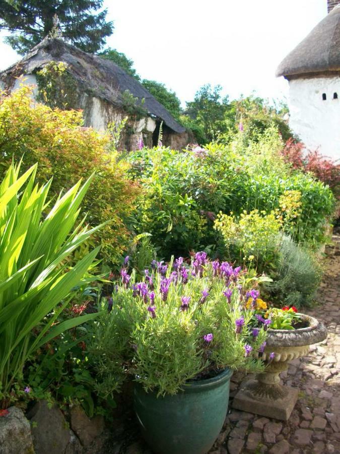 Middletown Farmhouse B&B Okehampton Extérieur photo