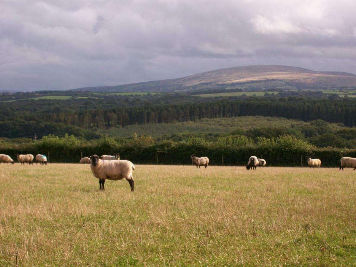 Middletown Farmhouse B&B Okehampton Extérieur photo